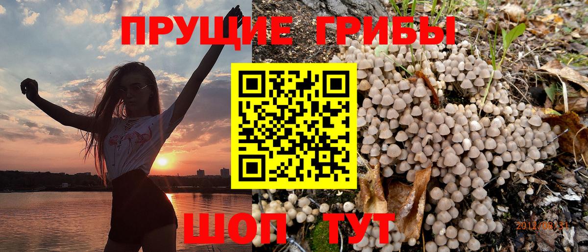 Галлюциногенные грибы Psilocybine cubensis  Вход с VPN  Анапа  Галлюциногенные грибы прущие грибы 